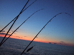 fishing photos